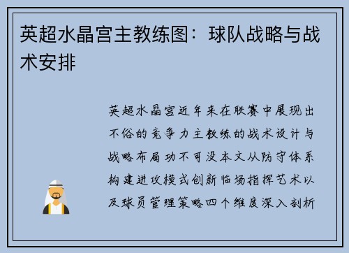 英超水晶宫主教练图：球队战略与战术安排